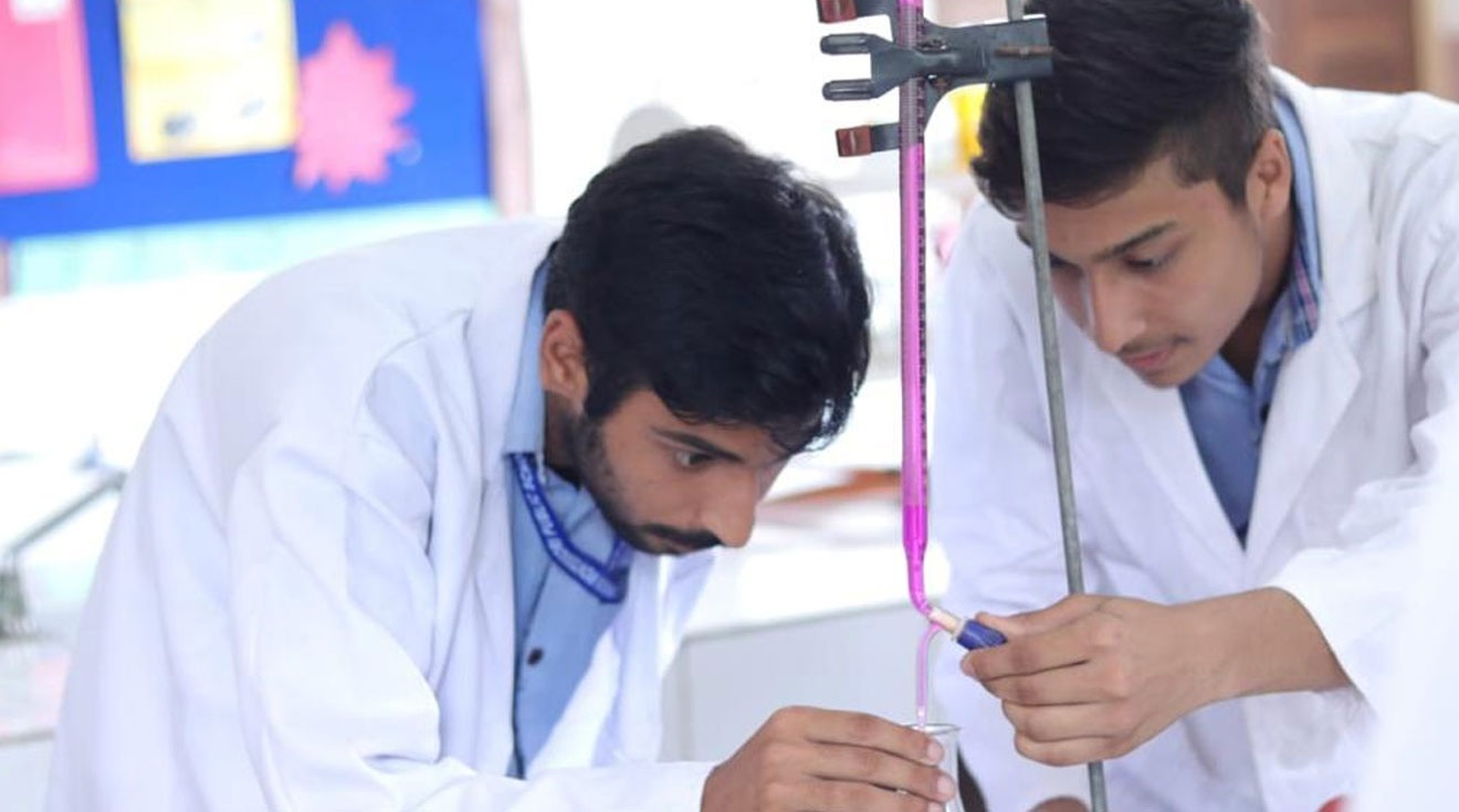 American Montessori Public School