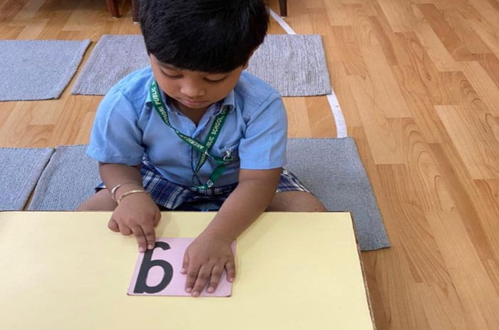 American Montessori Public School