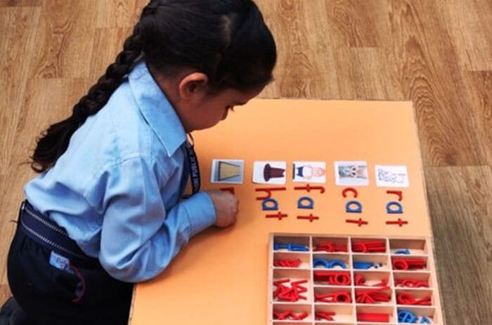 American Montessori Public School