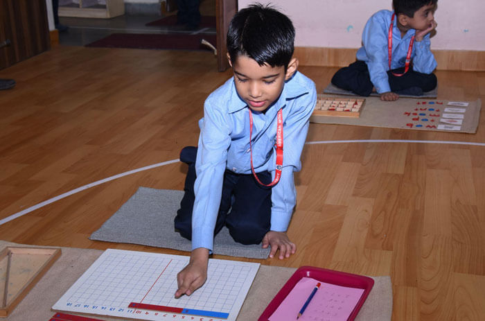 American Montessori Public School