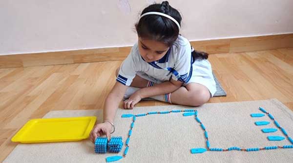 American Montessori Public School