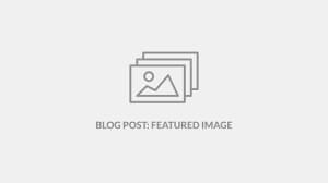 “The Spirit of Universality”, American Montessori Public School’s 30th Anniversary Celebrations, Oct. 11th, 2025