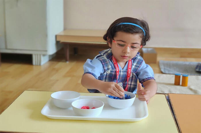 American Montessori Public School