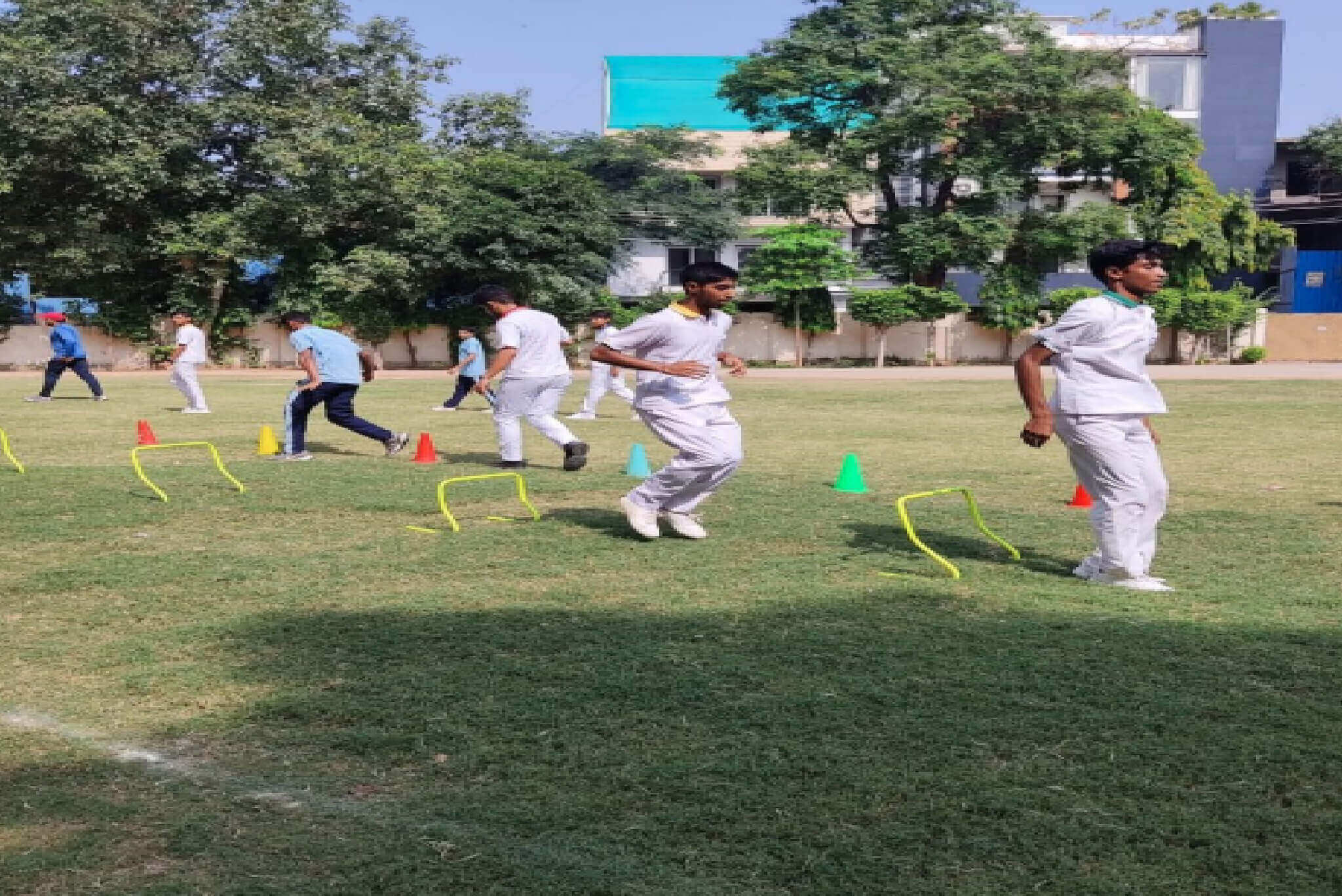 American Montessori Public School