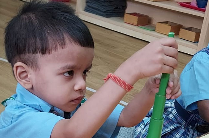 American Montessori Public School