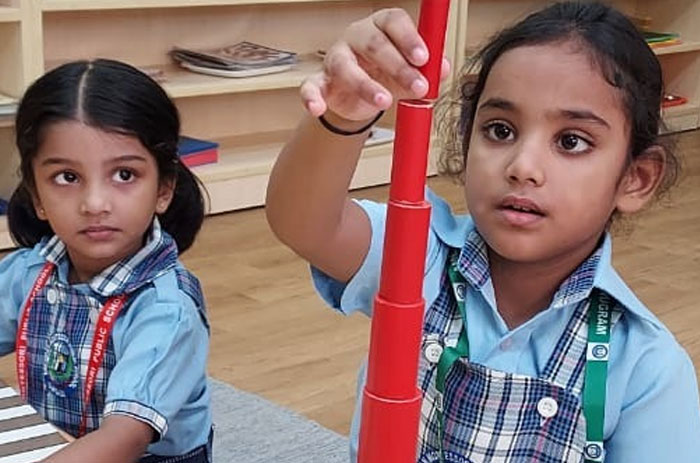 American Montessori Public School