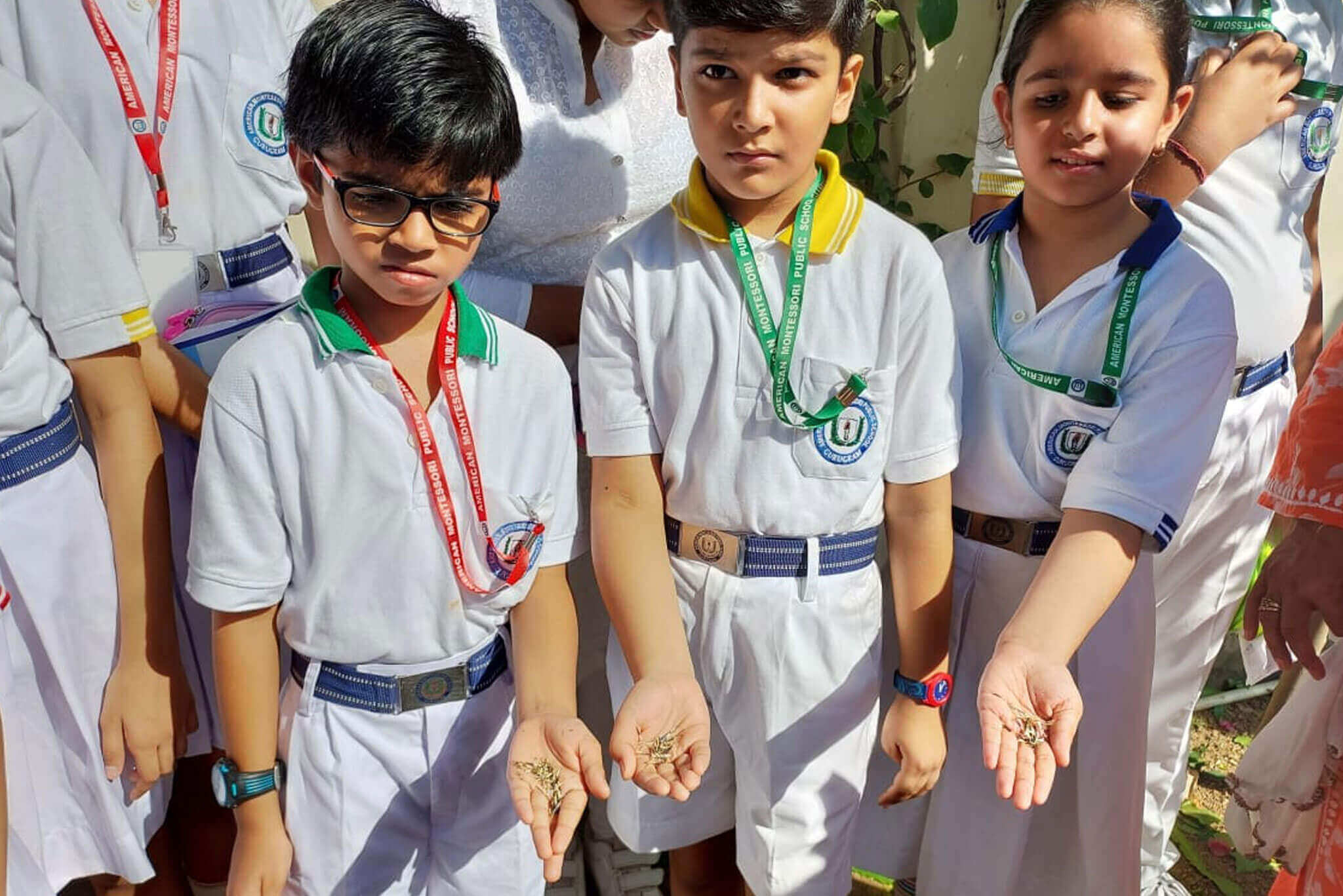 American Montessori Public School