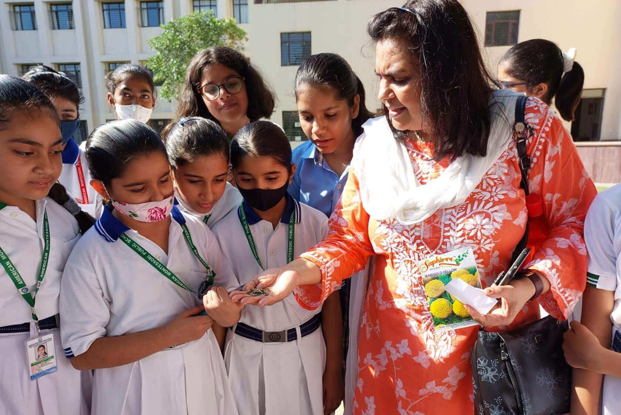 American Montessori Public School