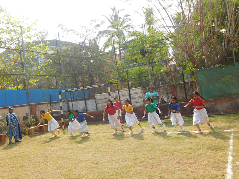 Primary Section