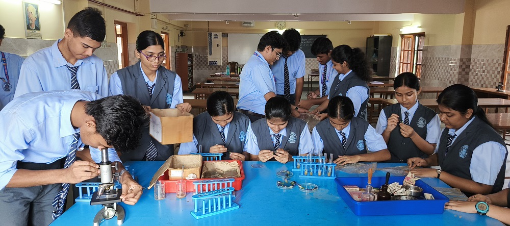 Carmel School Sarangabad