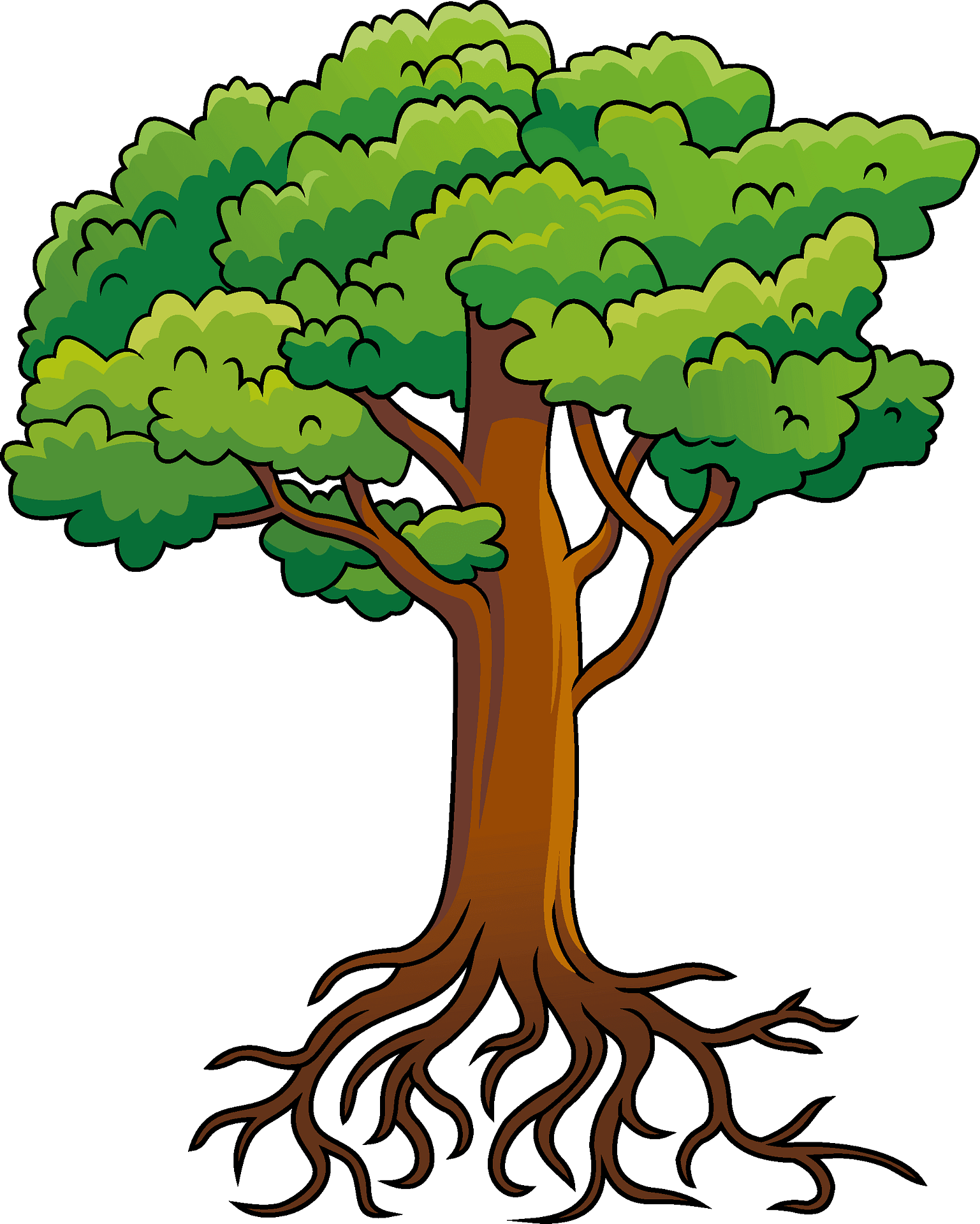 DRDO KG School C.V. Raman Nagar, Bangalore