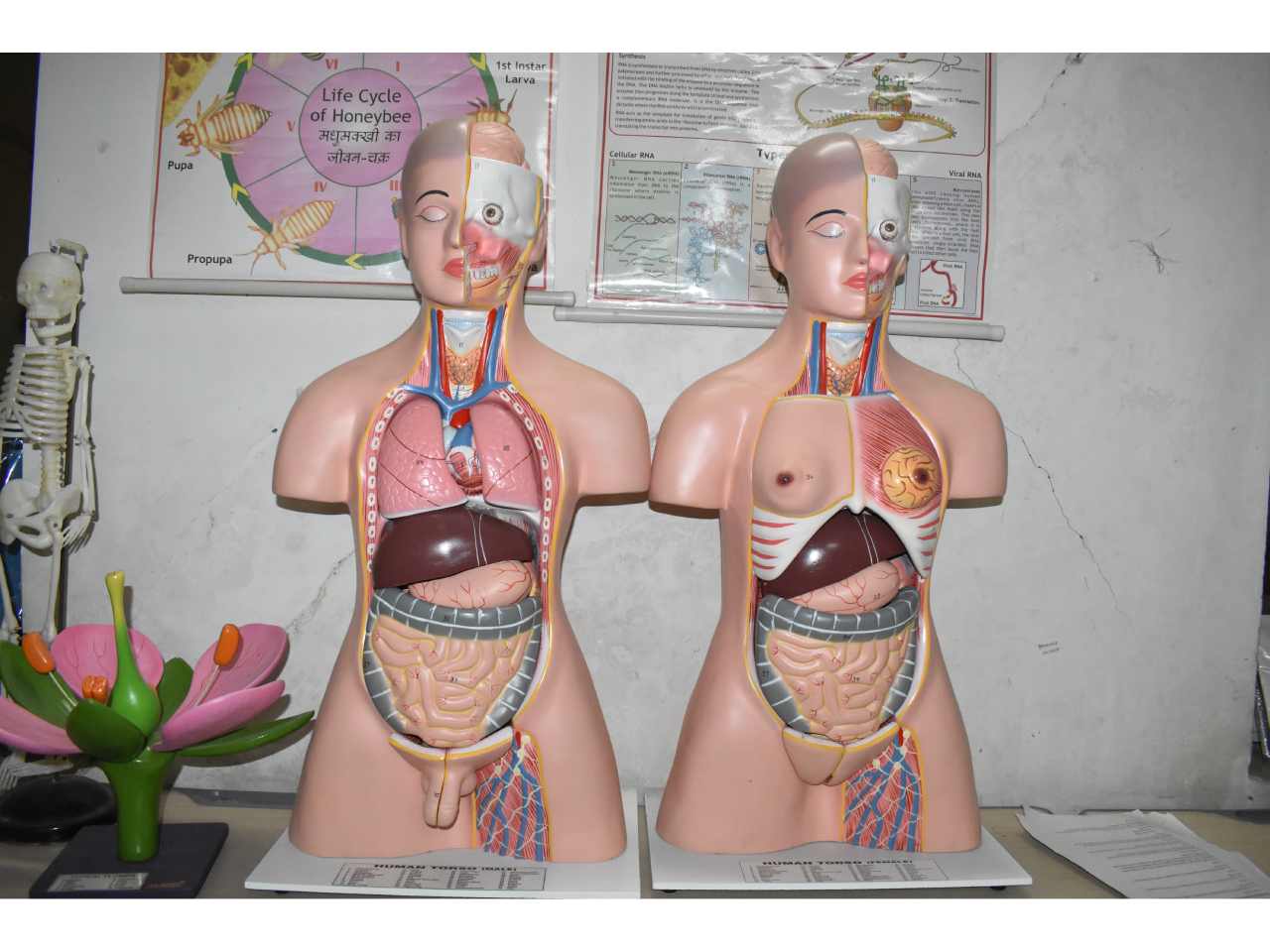 GD Goenka School Gaya