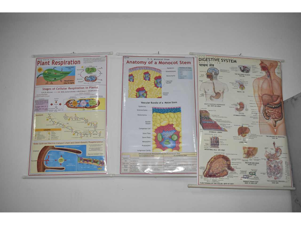 GD Goenka School Gaya