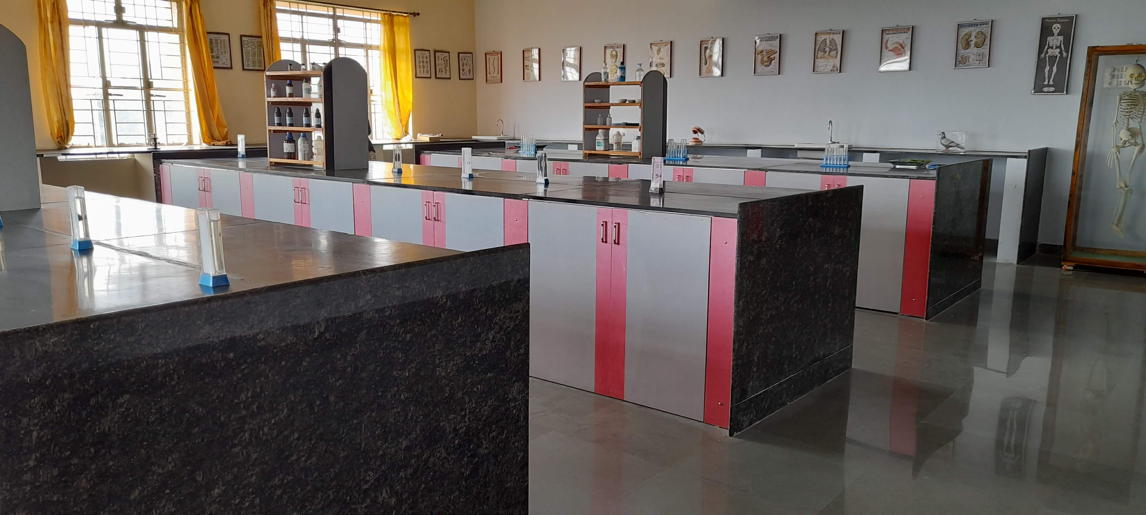 Biology Lab 2