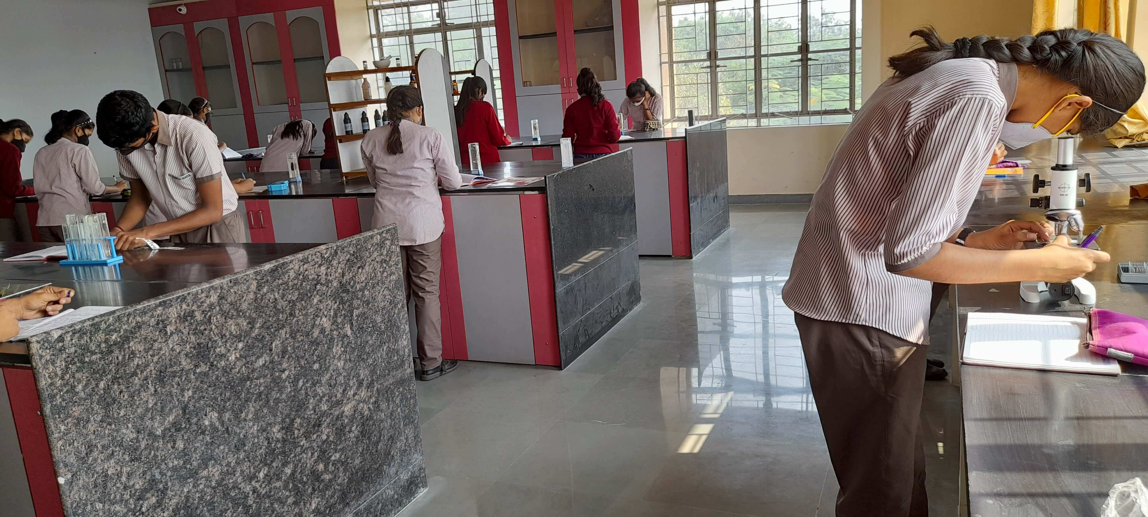Biology Lab 4