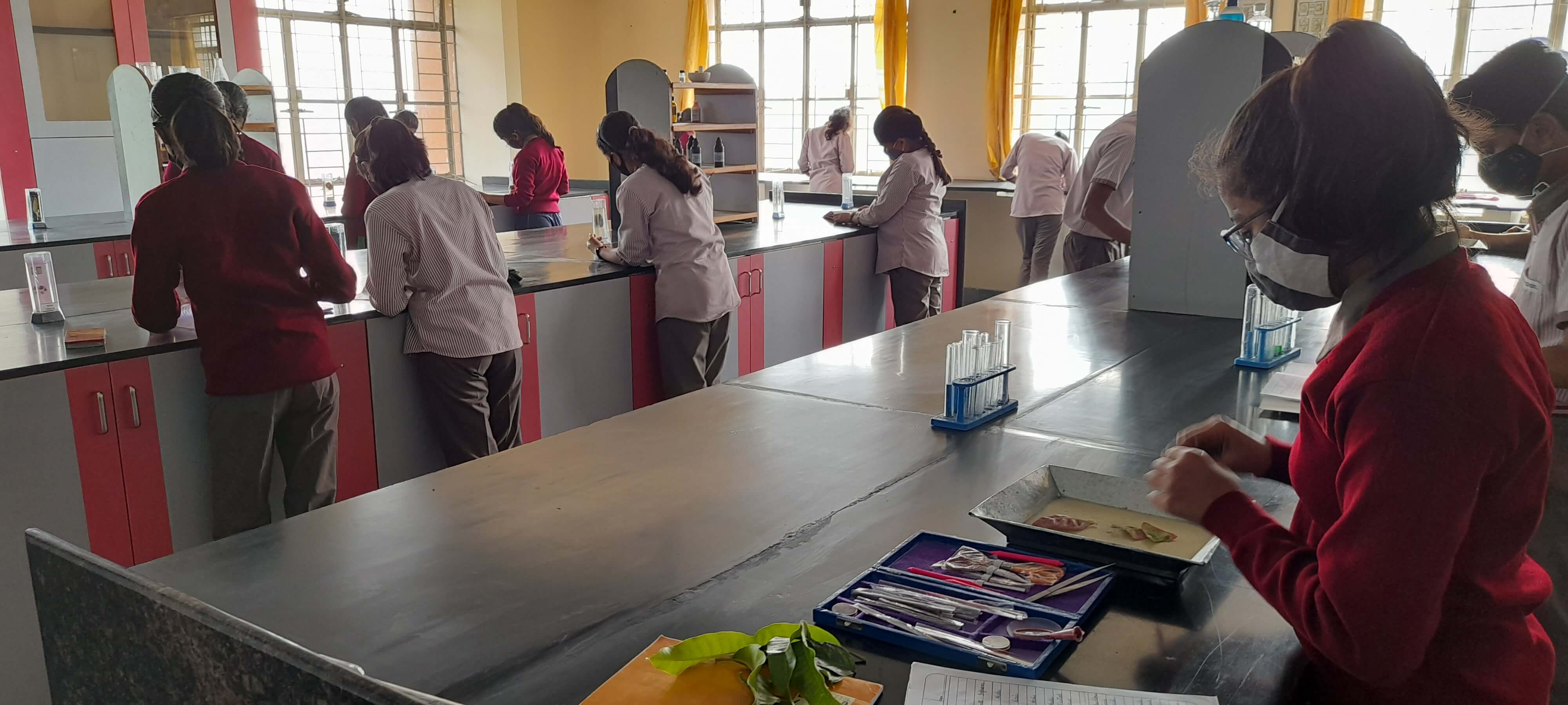 Biology Lab 5