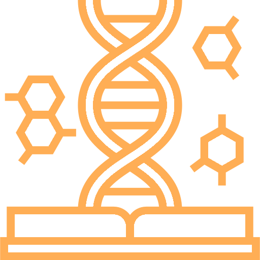 St. Teresa School Bhagalpur