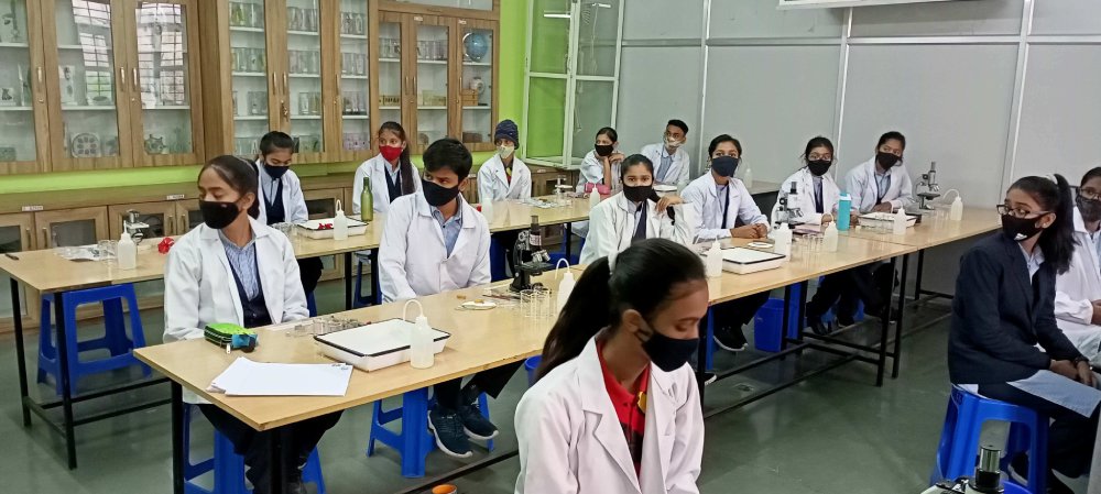 St Vincent pallotti Secondary School