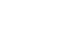 St. Vincent Pallotti