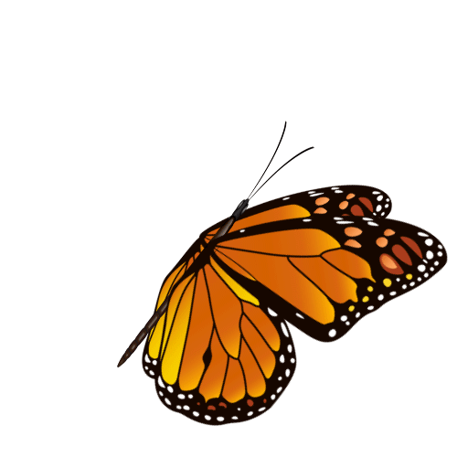 St. Xavier's  School - Rampura Phul